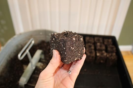 A cube of soil made by a soil blocker