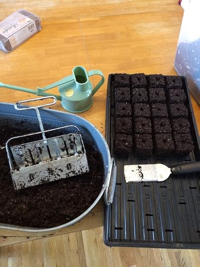 Soil blocking supplies displayed. A soil block maker, a tray, a bucket of soil, a watering can and soil blocks already made.