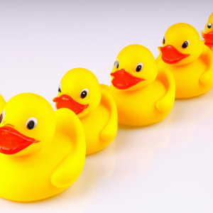 ducks in a row