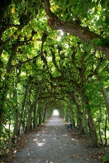 schloss dachau