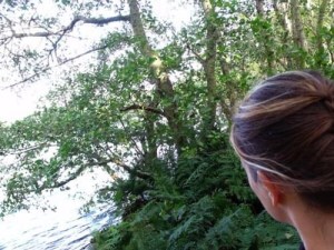 Ailish Sinclair goes into the woods