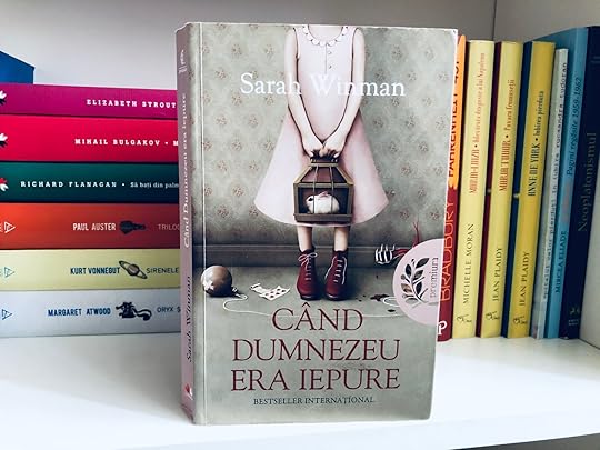 Când Dumnezeu era iepure, recenzie