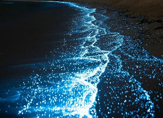 bioluminescence