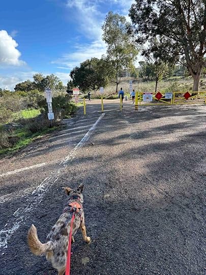 entrance to the trail