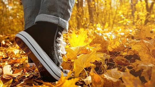 So, Why Not Snackable Exercise?