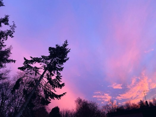 pink skies over intense writing