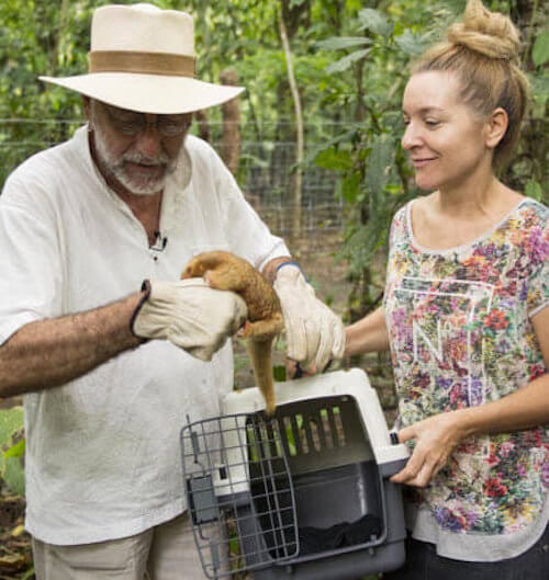 couple taking wild animal out of crate