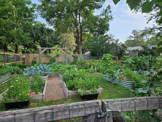 Wide angle of a vegetable garden with metal and wood built raised beds. Seen through a garden gate.