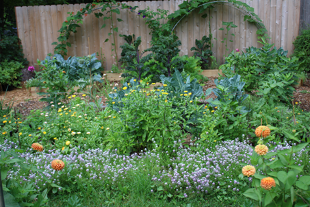 a vegetable garden that has been heavily planted with companion plant flowers.