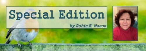 012424 - the incredible shrinking robin - take 2 - special edition banner