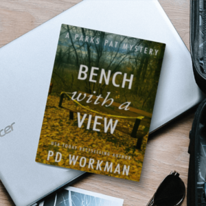 Bench with a View