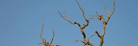 Recensione di Amatissima di Toni Morrison