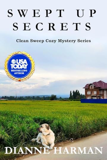 Swept Up Secrets