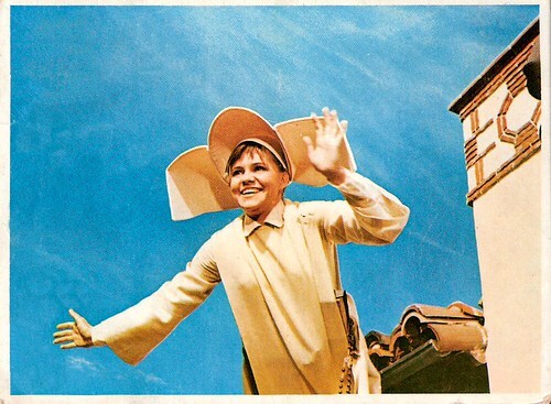 The Flying Nun