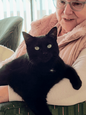 Author Janice J Richardson with her cat.