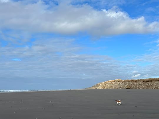 Normanbeachlargeseascape
