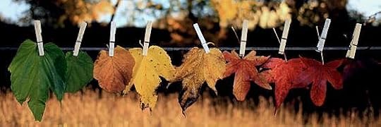 Recensione di Come in alto così in basso di Alessia Rossini