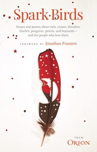 Jonathan Franzen on How to Write About Nature, with a Side of Rachel Carson and Alice in Wonderland