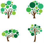 Irregular -are verbs