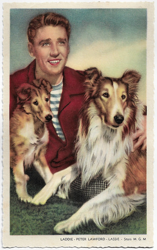 Peter Lawford, Laddie and Lassie