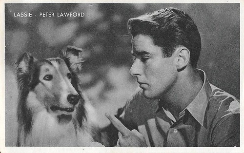 Lassie and Peter Lawford in Son of Lassie
