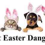 pet easter dangers
