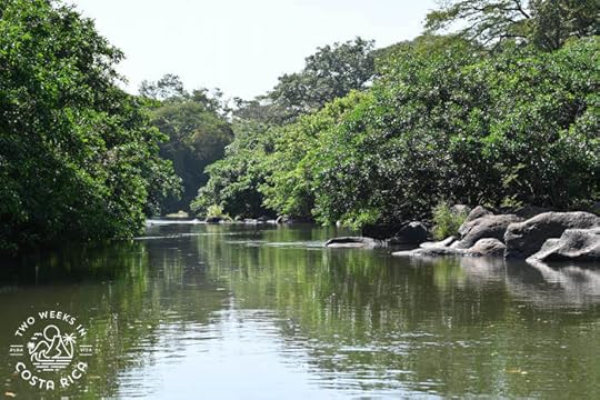 Scenery Lower Tenorio River