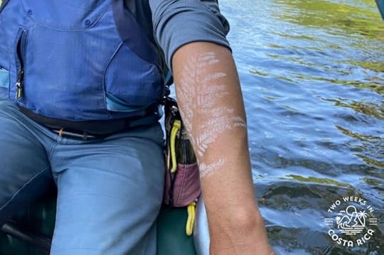 Using fern as tattoo