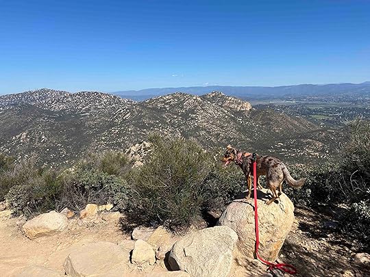 Iron Mountain view from the summit
