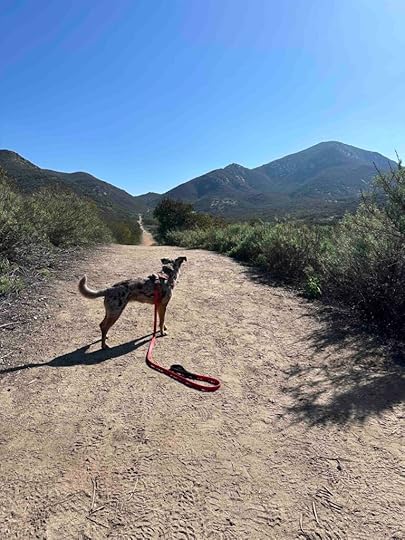 View of the mountains