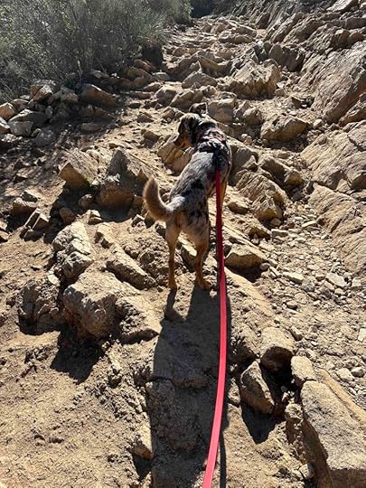 on the trail at Iron Mountain