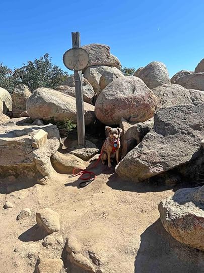 Summit of Iron Mountain