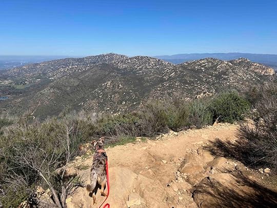 view of the mountains from Iron Mountain