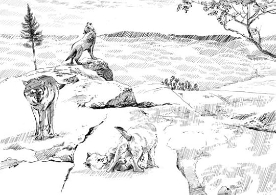 Is life too short for predator conservation research?