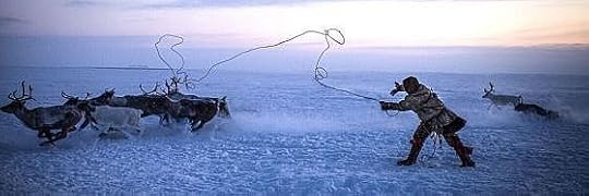 Recensione di Aniko di Anna Nerkagi