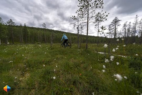 Mountain Biking in Levi, Lapland, Finland.