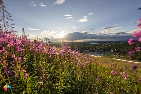 Sunny views over Levi in Lapland, Finland.