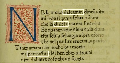 La Divina Commedia: examples of hapax legomena