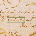 Voynich manuscript, {8amo89}
