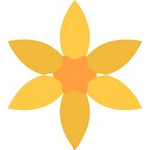 Daffodil
