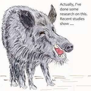 OLD BOAR IS A KNOW IT ALL in the funny paper
