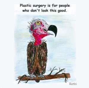 BUZZARD WITH GREAT SELF IMAGE