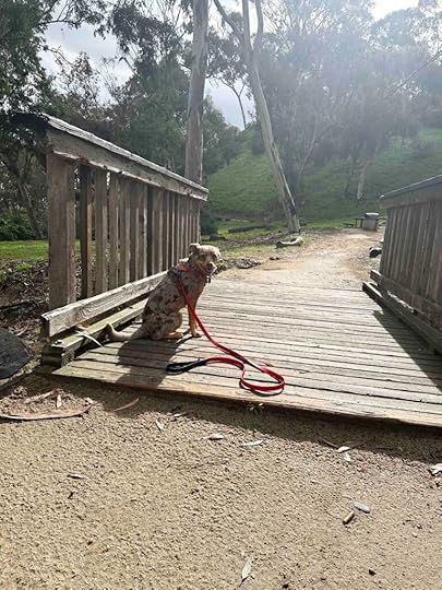 bridge at West Grove