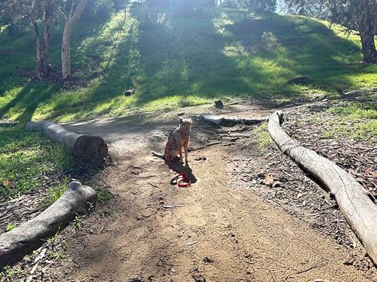 start of trail at Hosp Grove