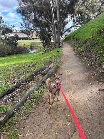 on the trail at Hosp Grove