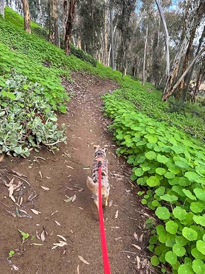 on the trail at Hosp Grove