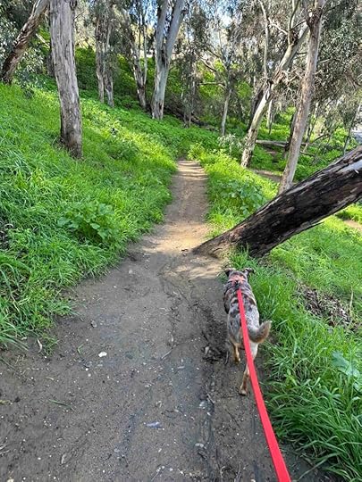 on the trail at Hosp Grove