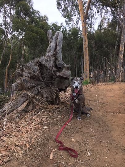 Karlie and the tree root