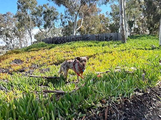 Hosp Grove Park entrance