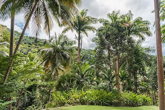 Barbados Flower Forest Botanical Garden